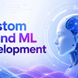 What Does Custom AI and ML Development Include
