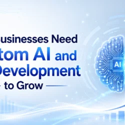 Why Do Businesses Need Custom AI and ML Development